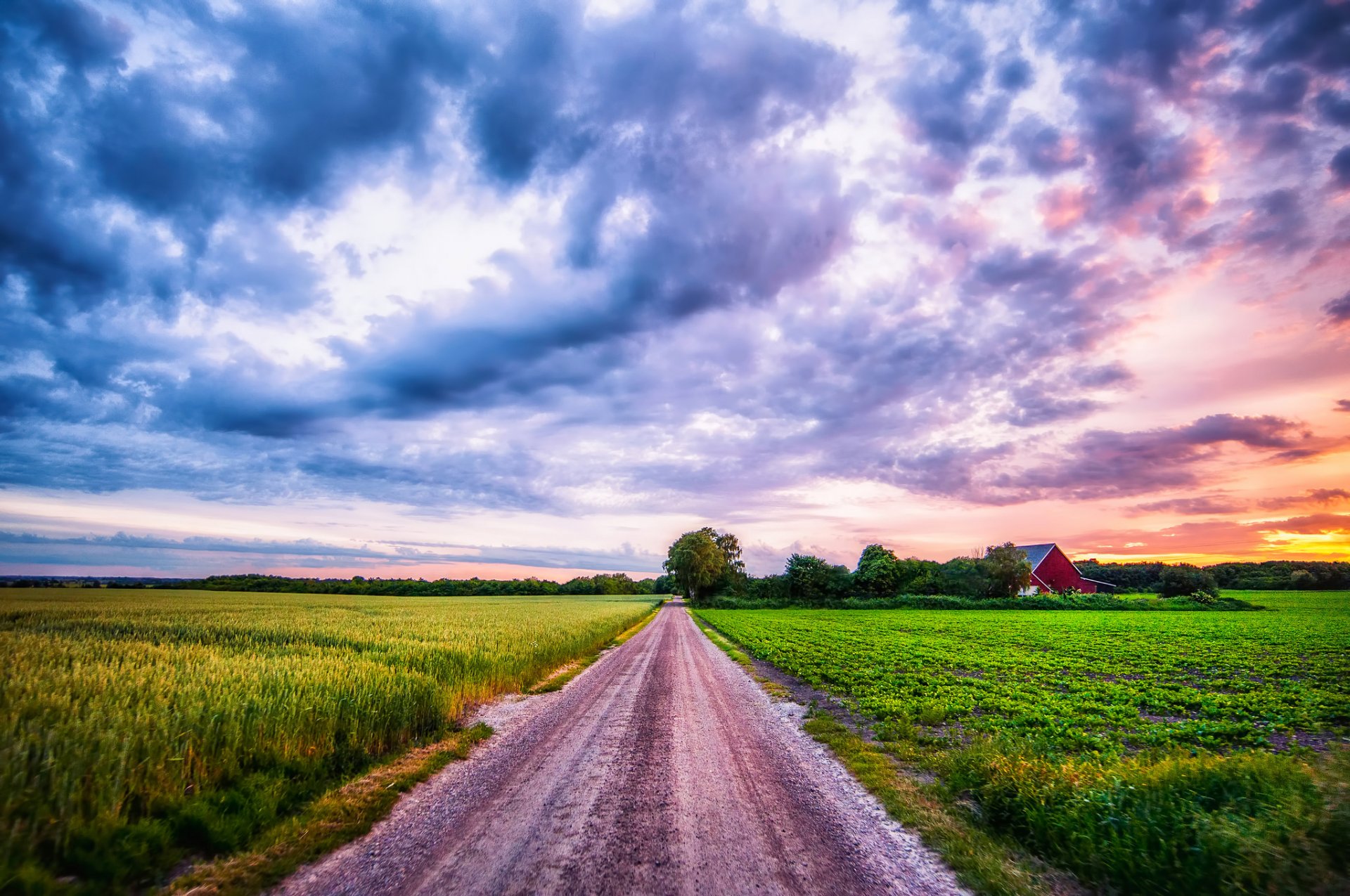 feld ohren pflanzen straße sonnenuntergang wolken himmel sommer land landschaft