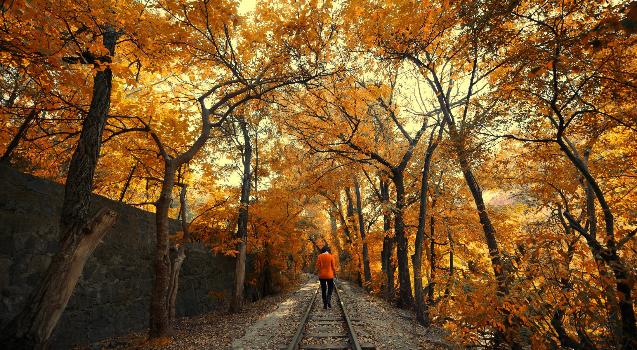 mädchen straße herbst schienen brünette bäume laub purpurrot blätter natur