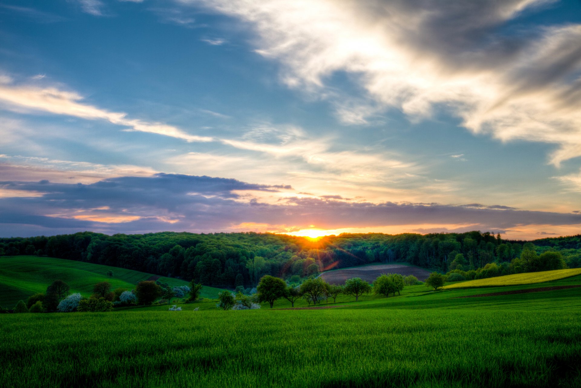 abend dämmerung hollow gras bäume sonne sonnenuntergang