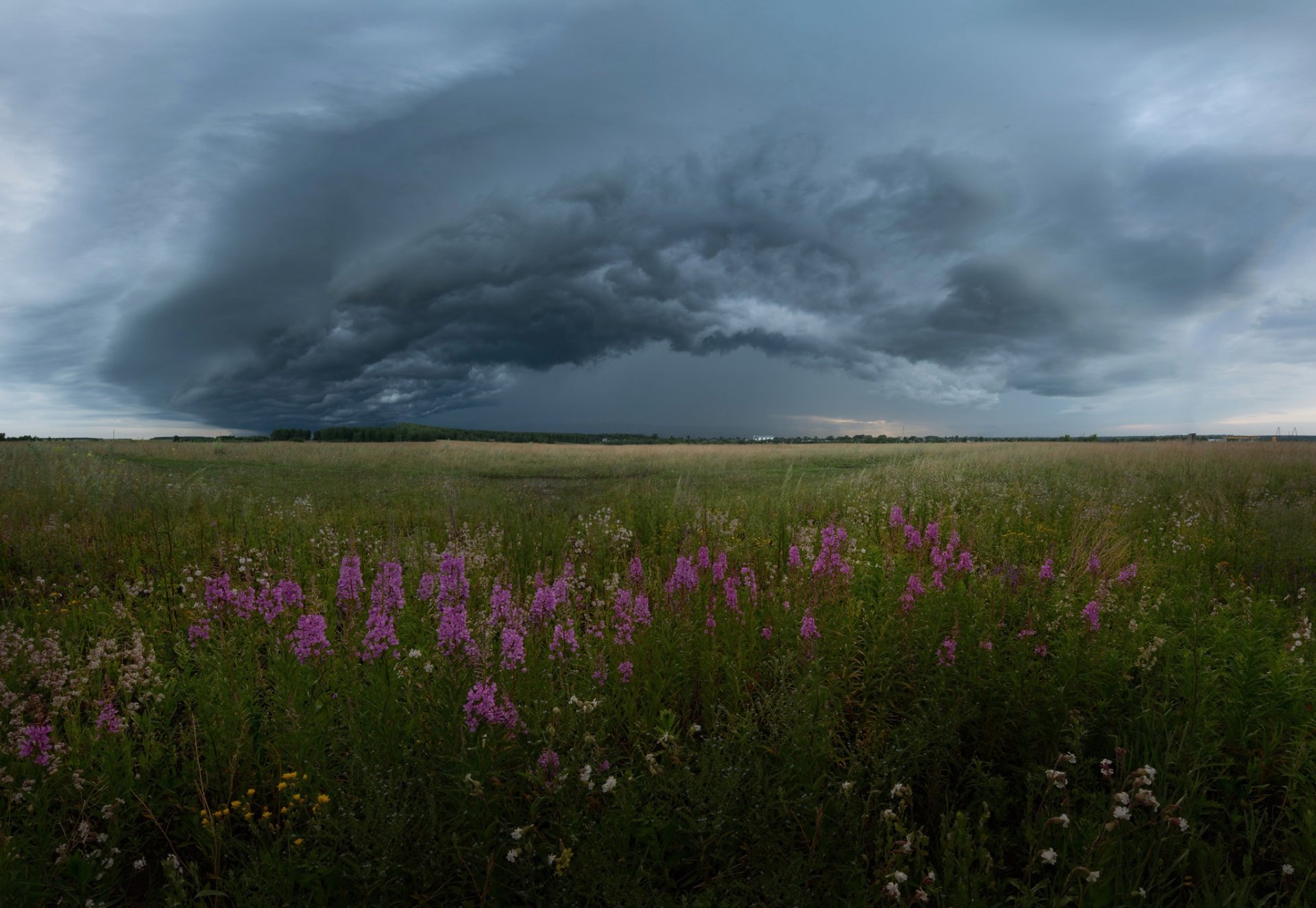 russia summer august sky clouds storm the field of the field flower