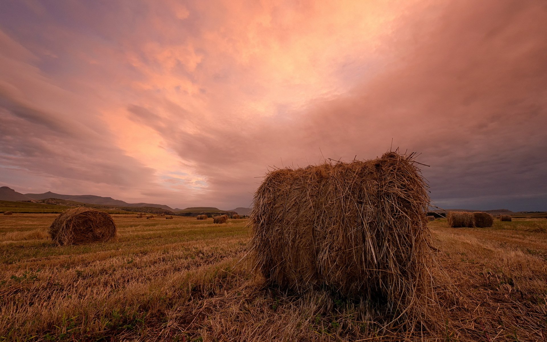 coucher de soleil champ foin paysage