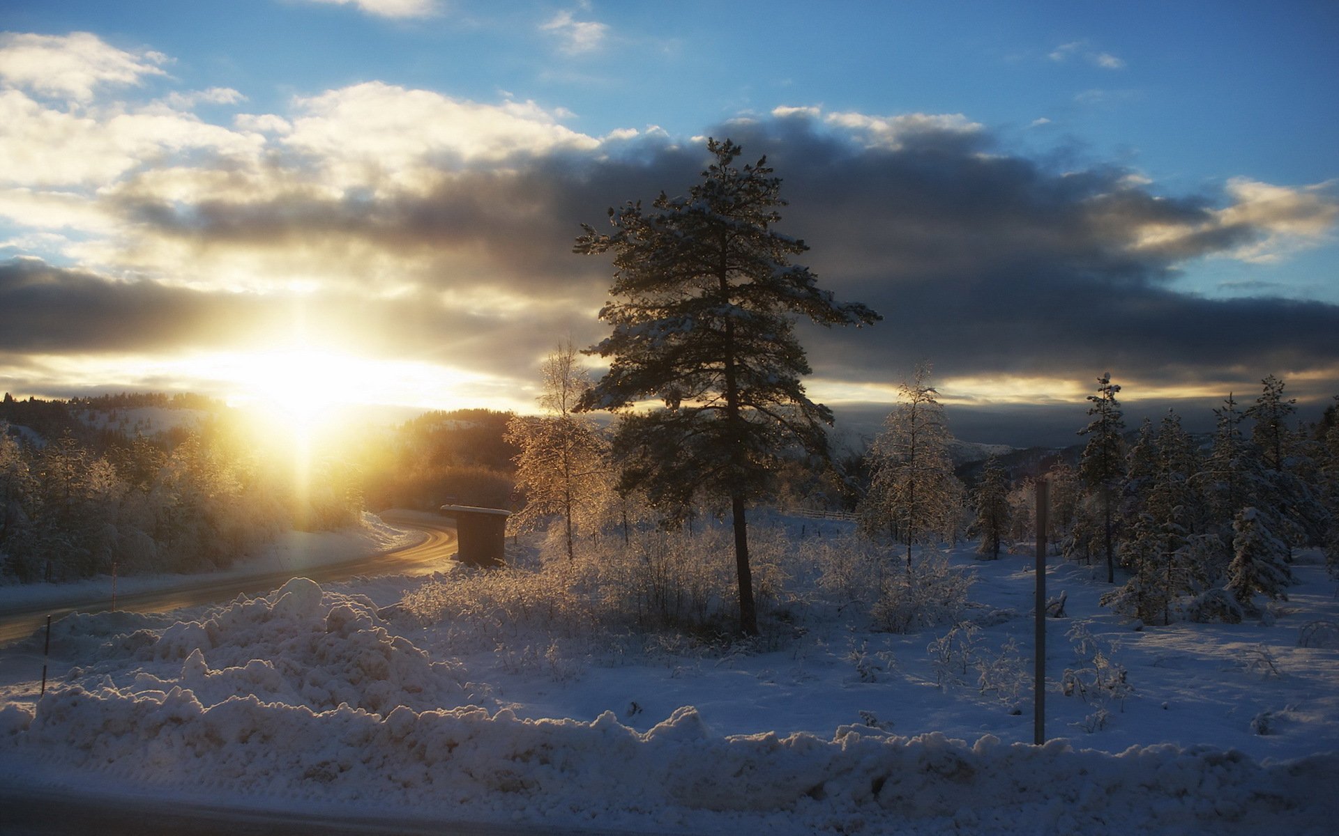 morning winter landscape