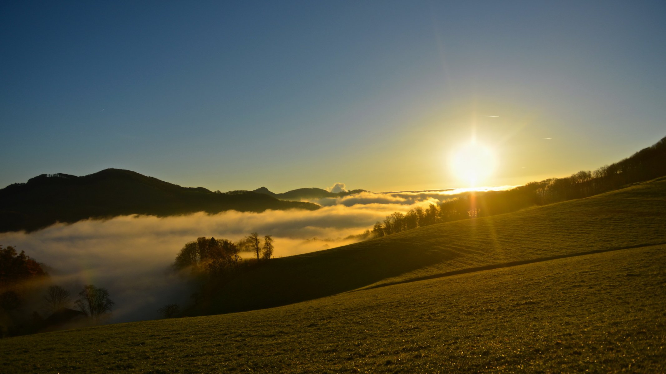 mañana niebla luz paisaje