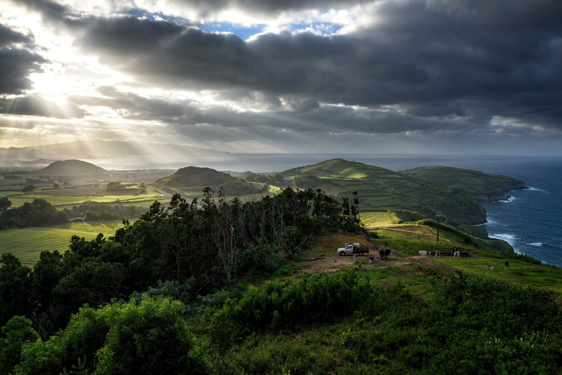 portugal azoren meer küste felder wiesen bäume kühe wolken bewölkt sonnenstrahlen