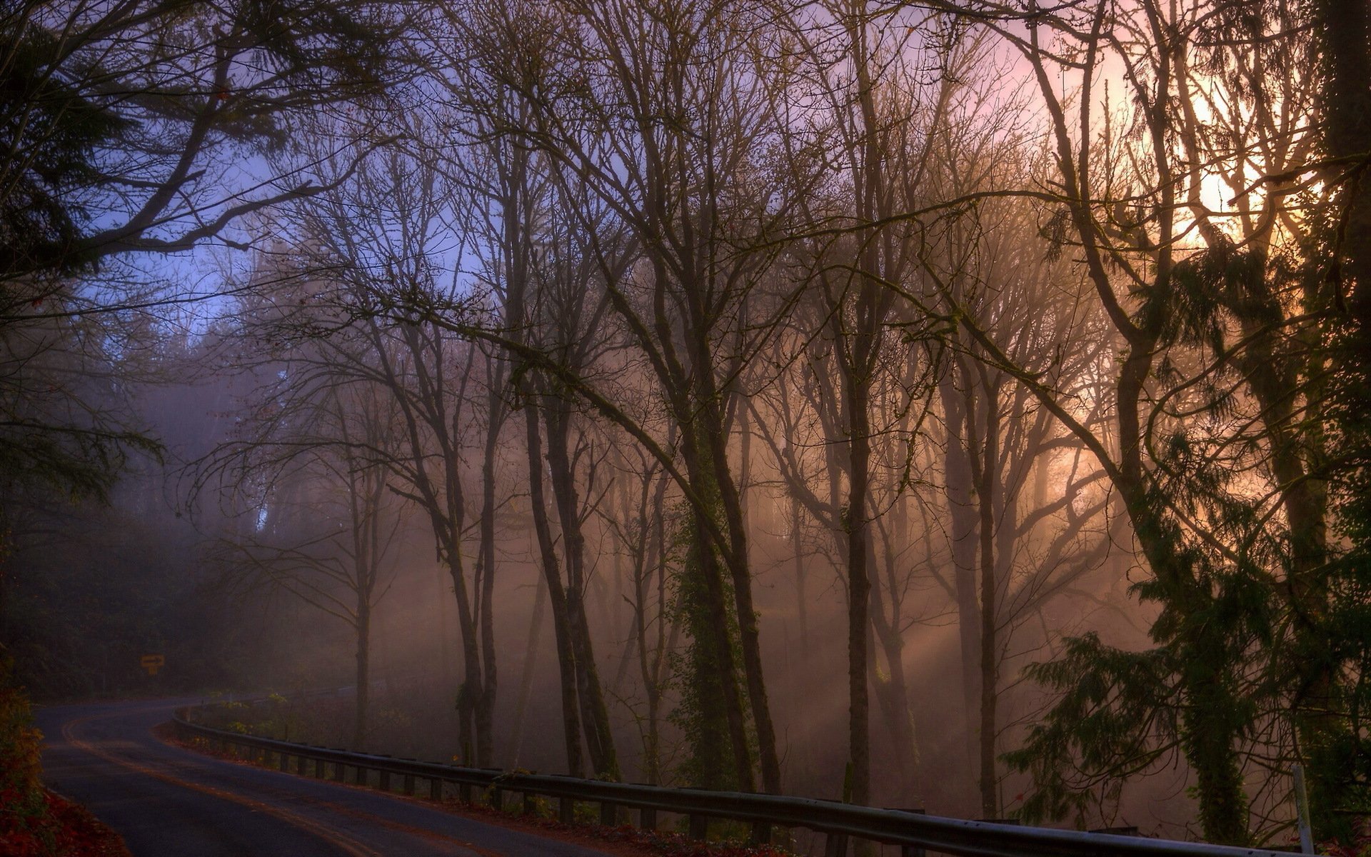 morning road autumn