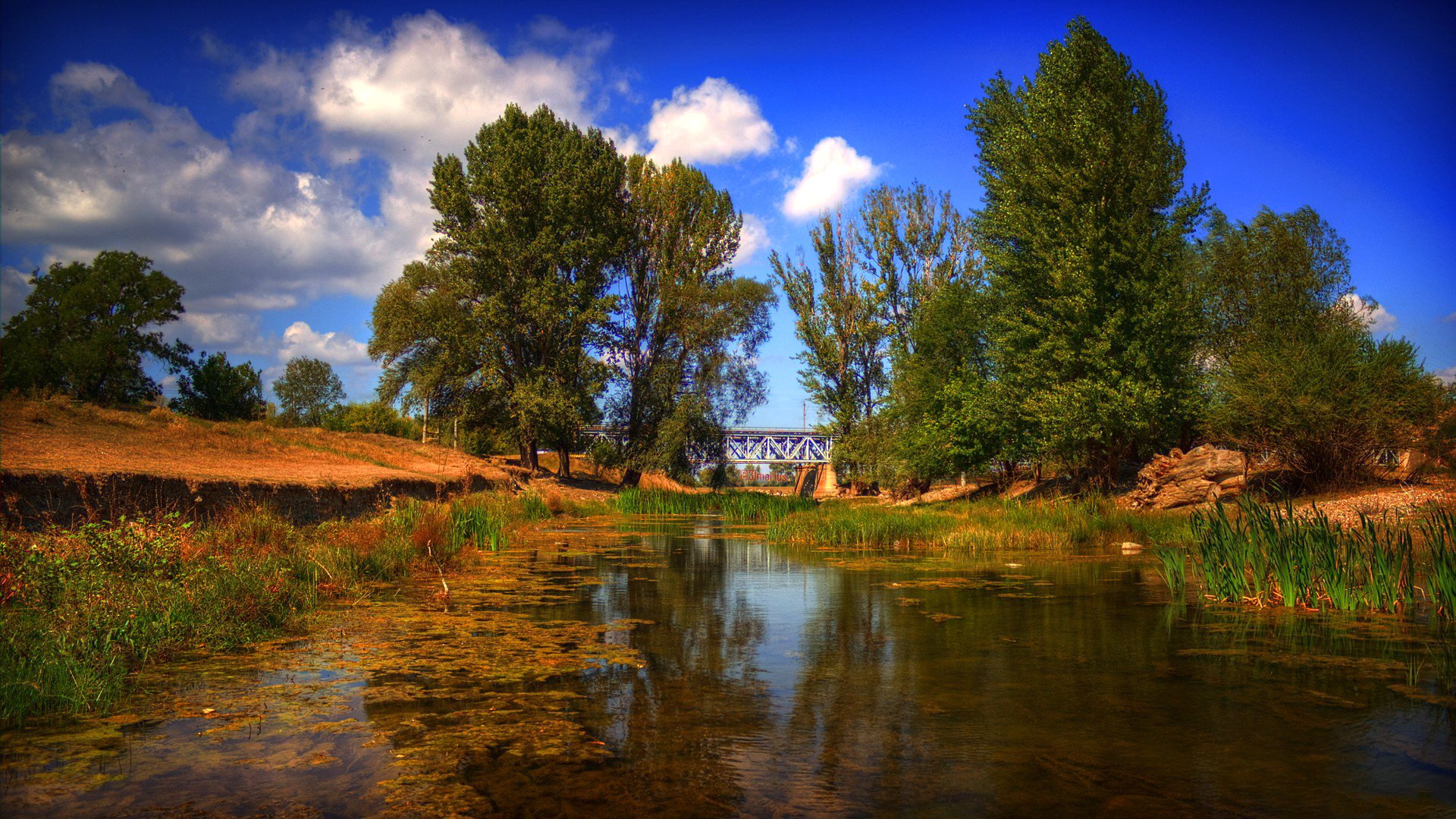 cielo nuvole alberi fiume ponte