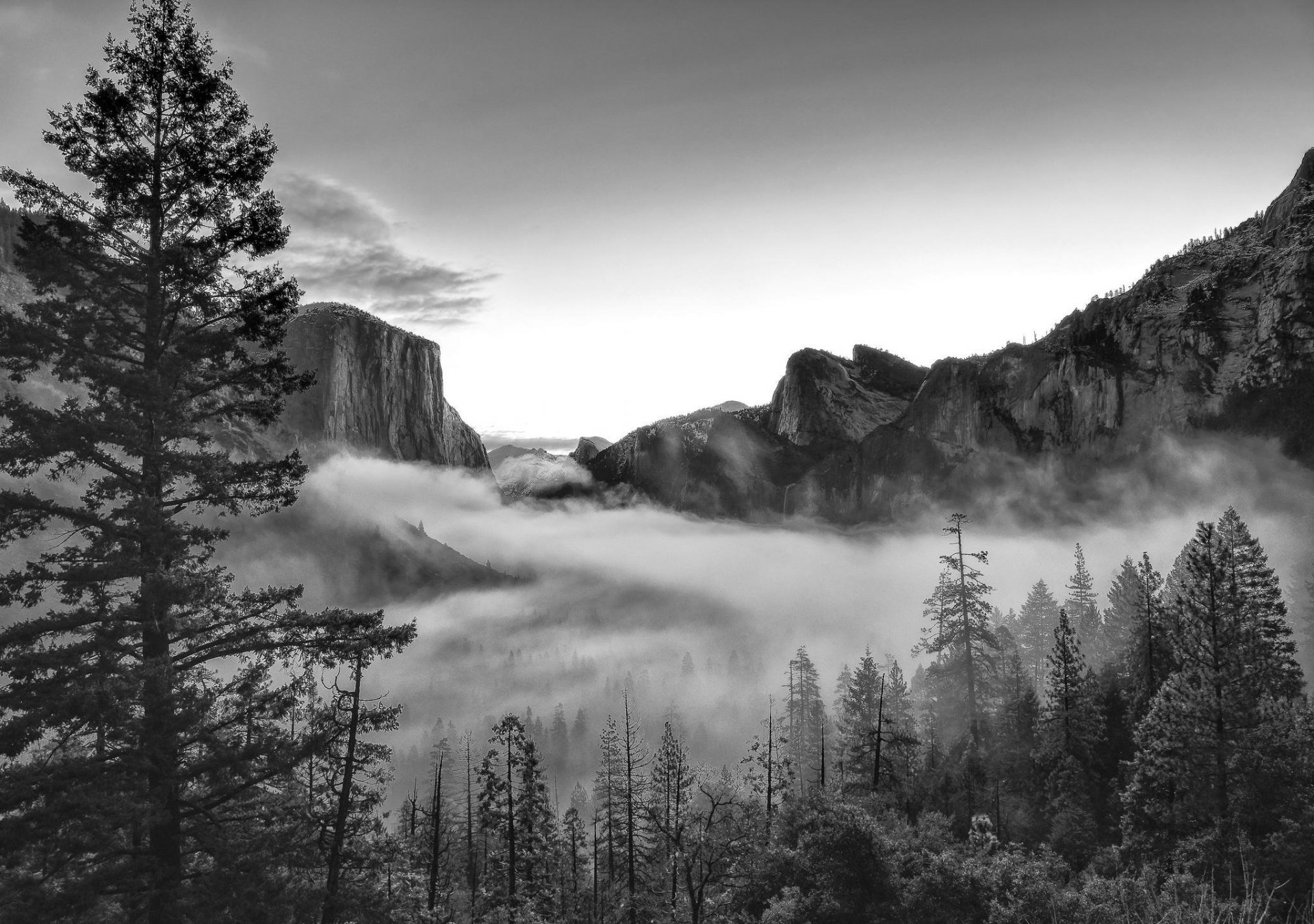 góry natura las park zdjęcie czarno-białe usa kalifornia yosemite