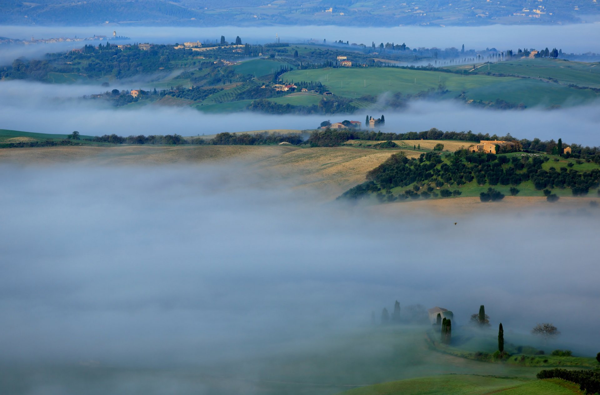 italy tuscany hills morning fog house tree