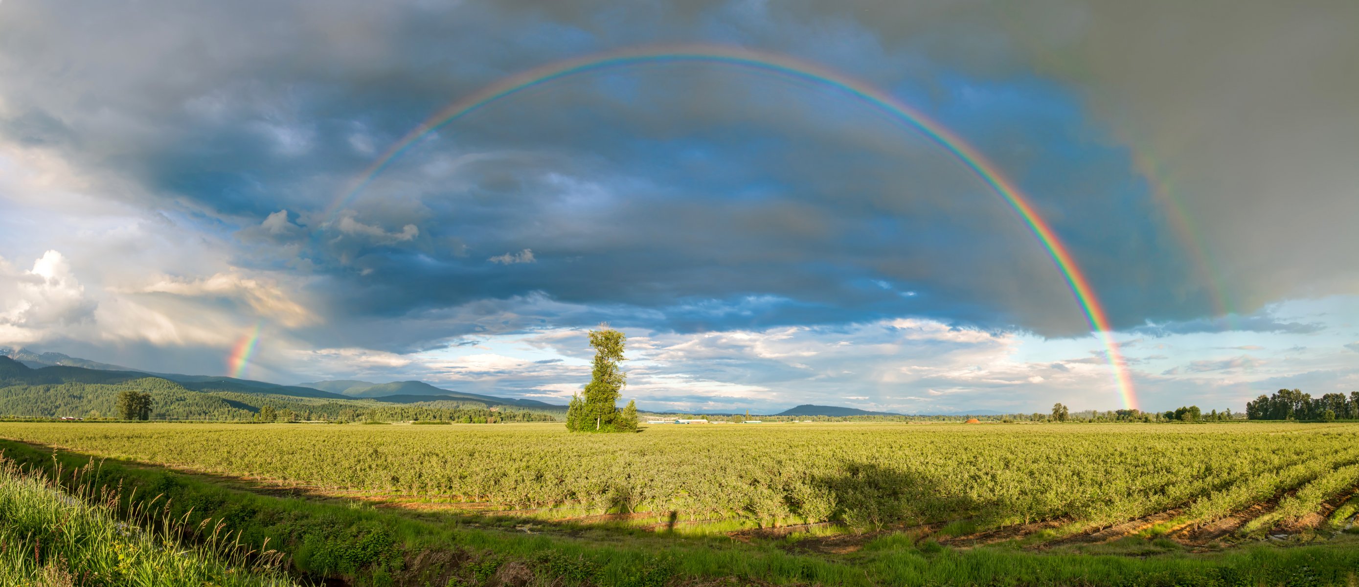 pitt meadows colombie-britannique canada ciel nuages champ jardin arbre collines arc en ciel panorama