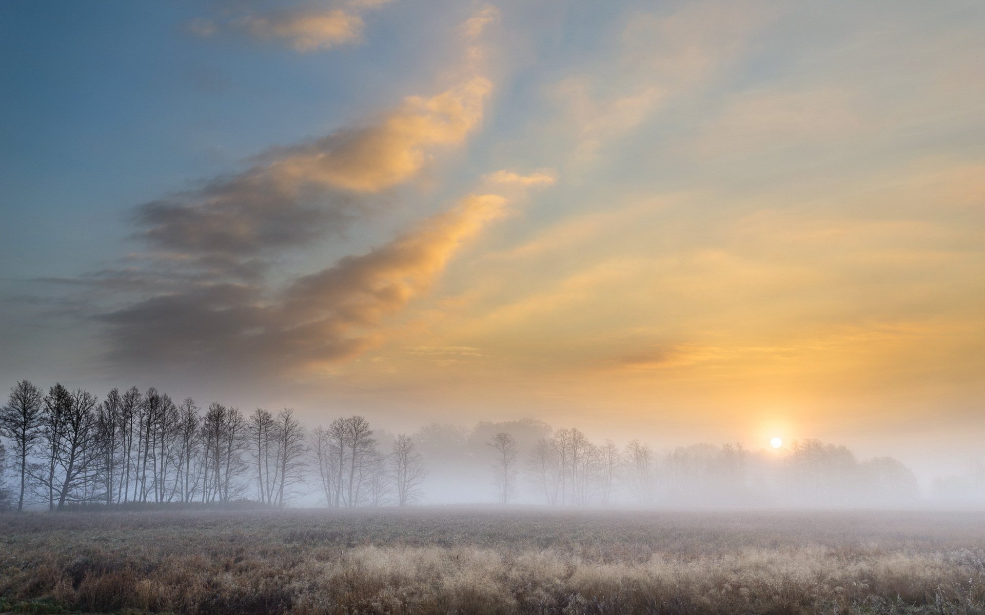 automne brumeux matin