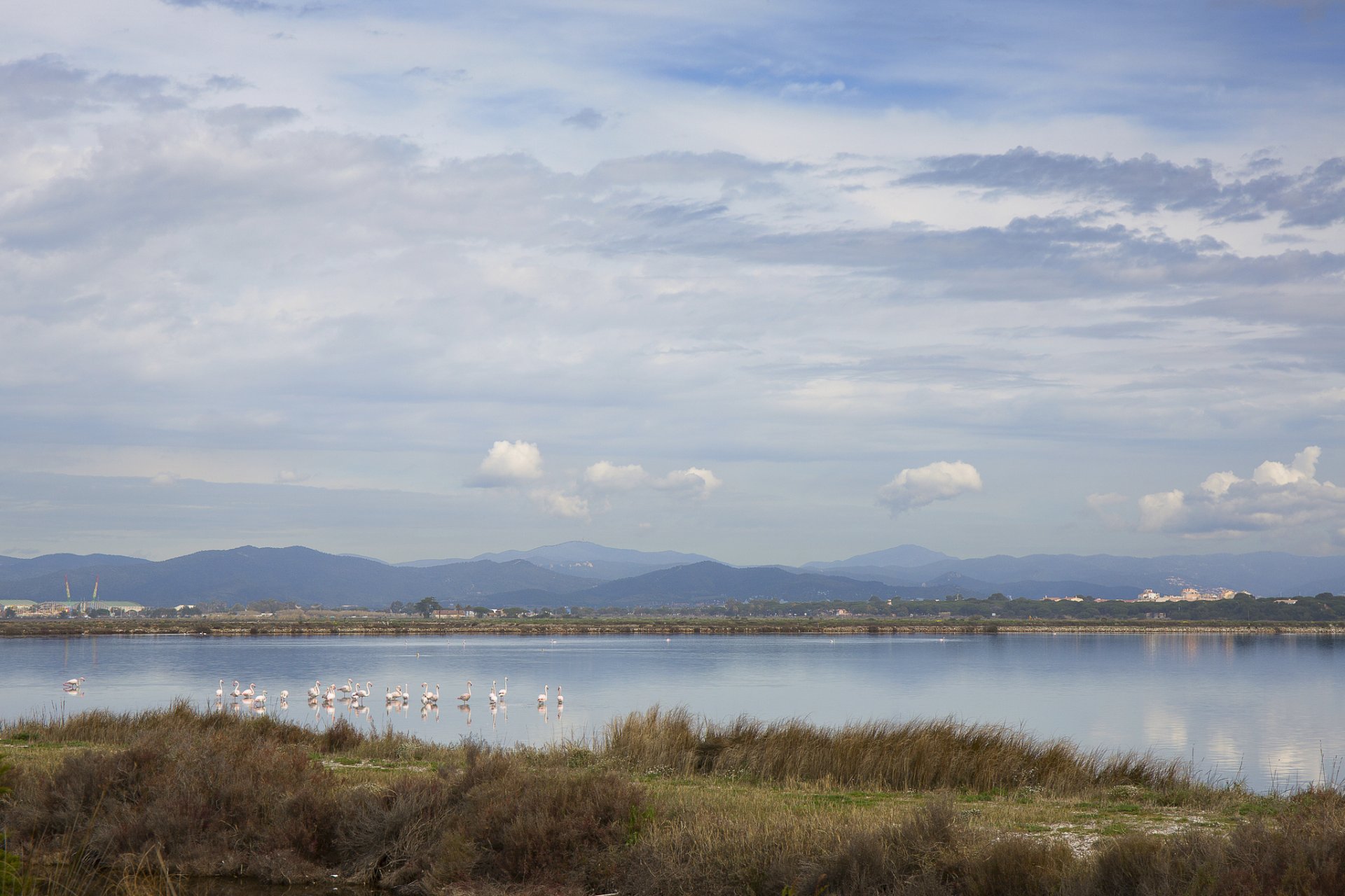 montagnes lac oiseaux flamants roses