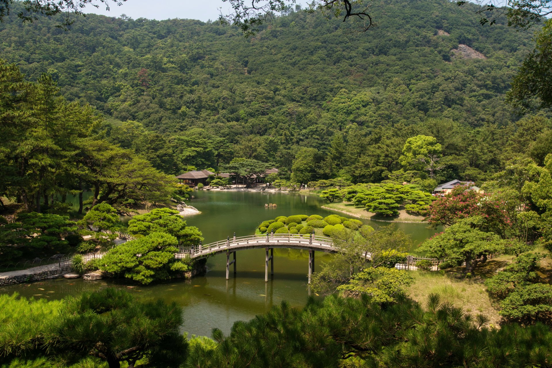 paesaggio giappone giardini fiume ponte takamatsu ritsurin giardino alberi natura foto