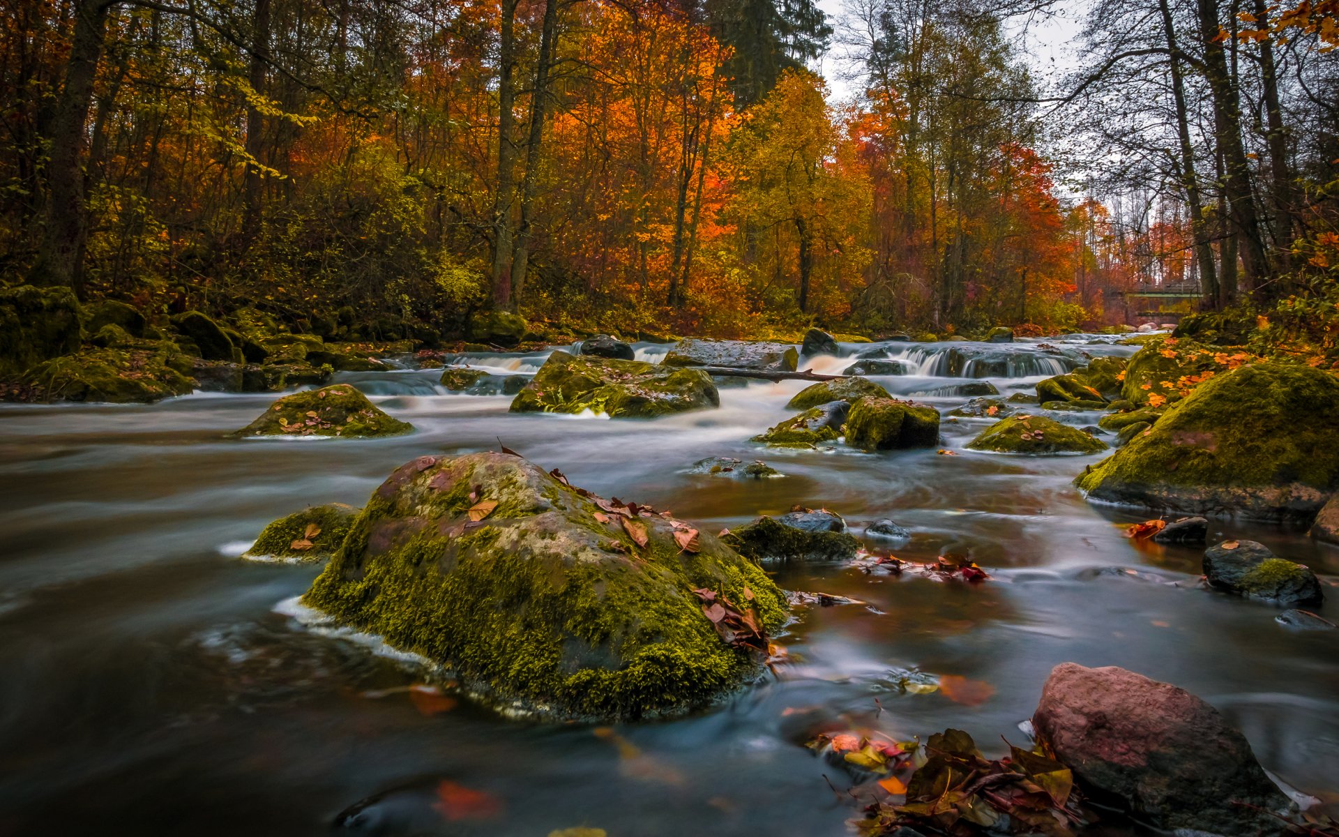 nukari finlandia otoño bosque río piedras