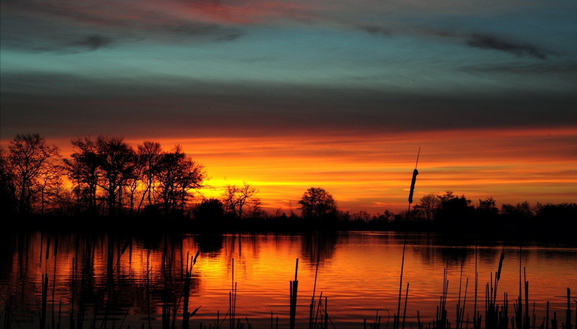 lac étang roseaux ciel arbres silhouettes aube coucher de soleil