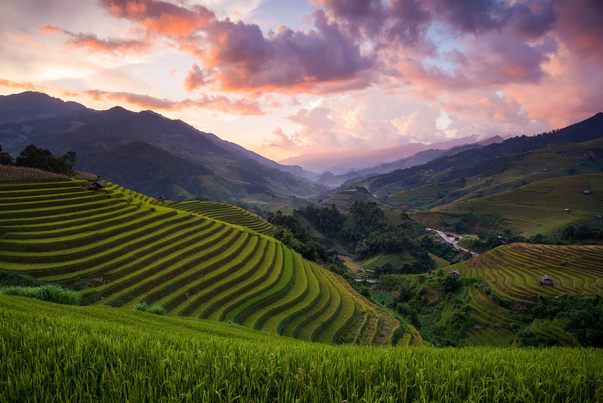 asie vietnam mù cang chải district rizières champs collines