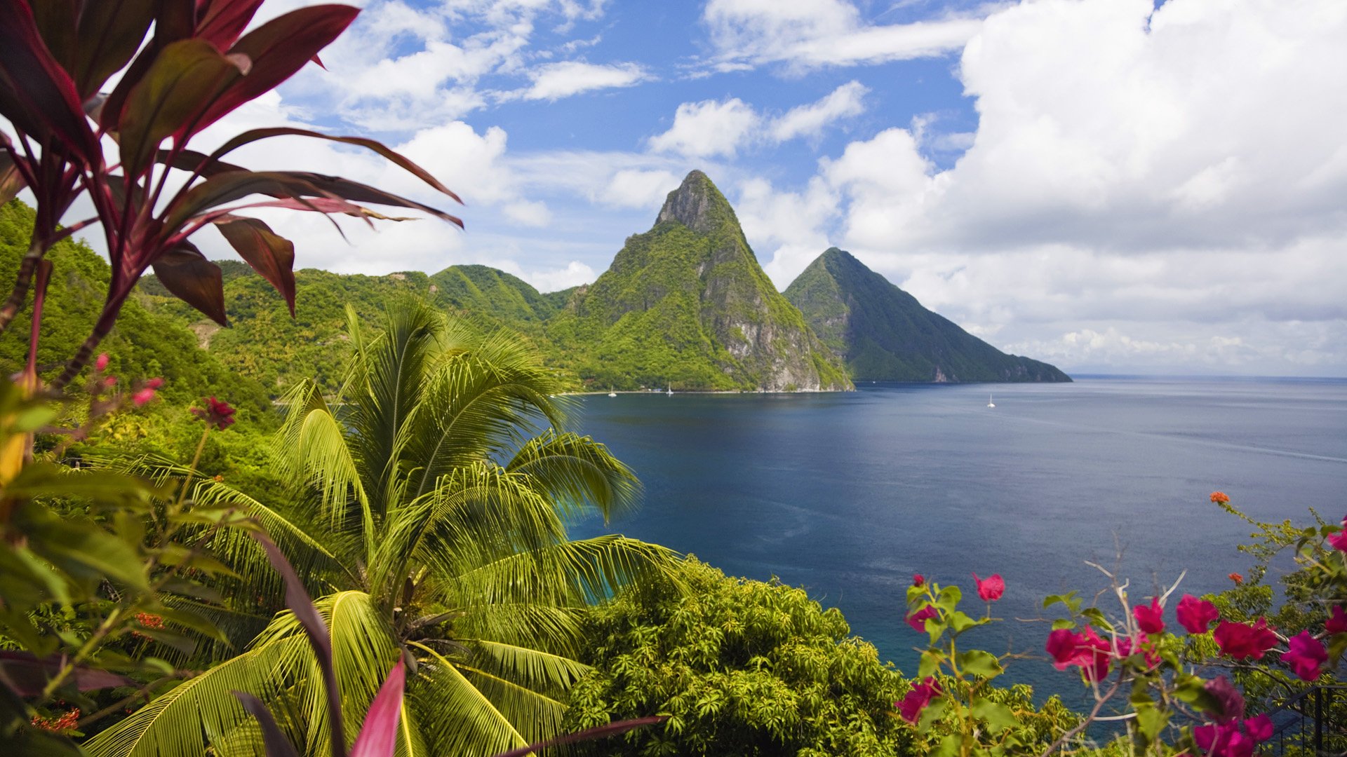 caribbean ocean island palm mountain coast