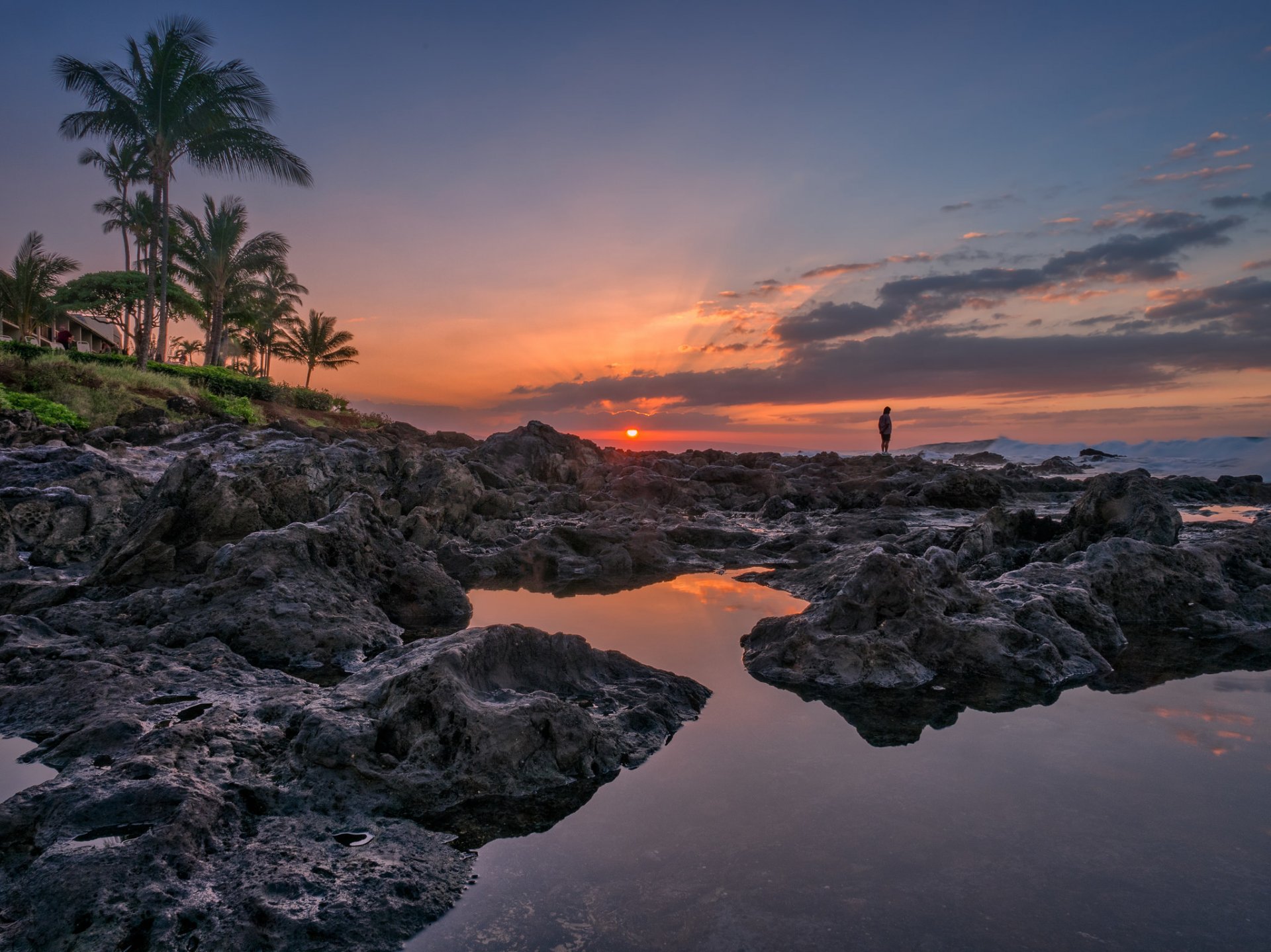 napili plage napili bay maui hawaii coucher de soleil océan côte palmiers