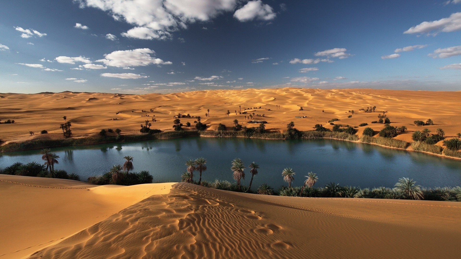 desert sands oasis libyan sahara