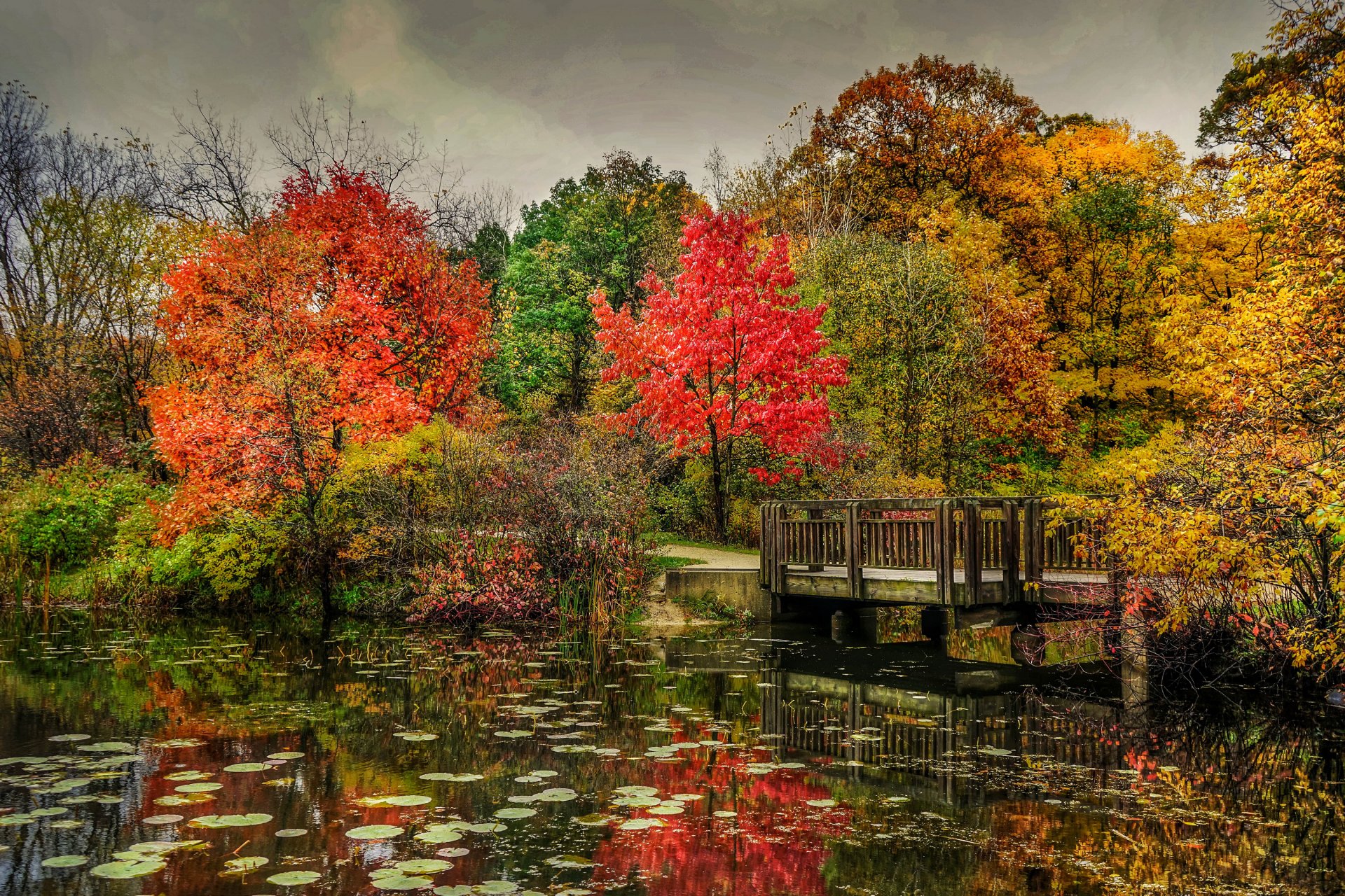 parque río puente otoño árboles naturaleza foto