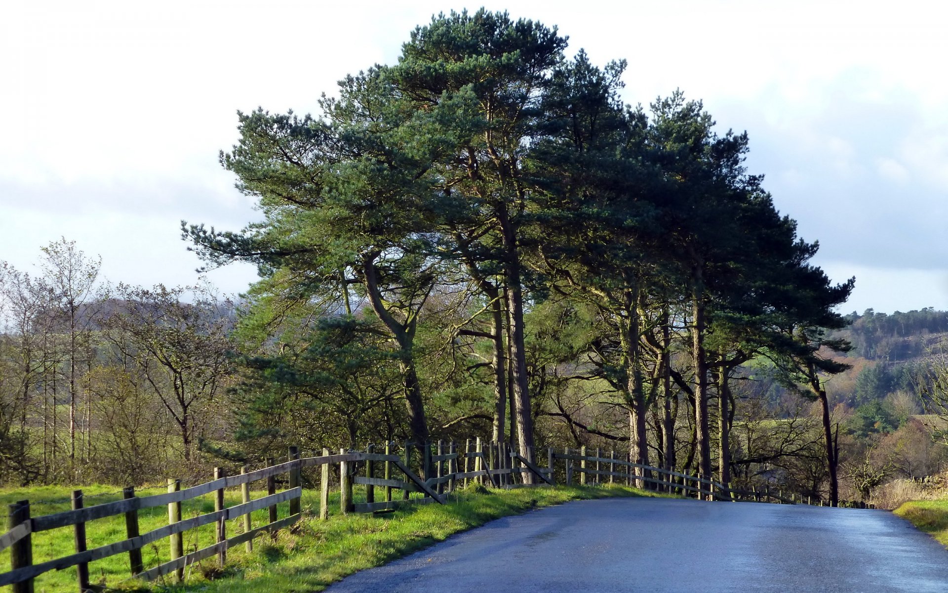 camino cerca paisaje