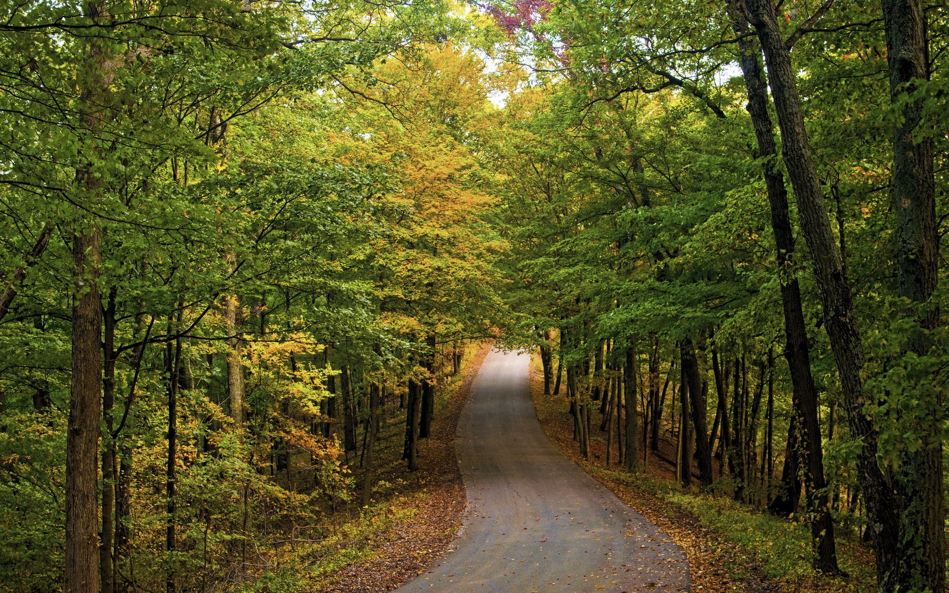 autunno strade natura