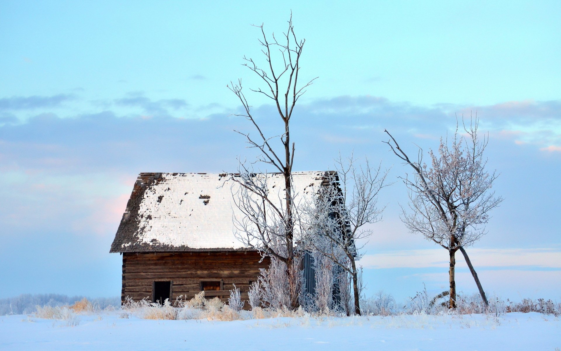 winter house tree landscape