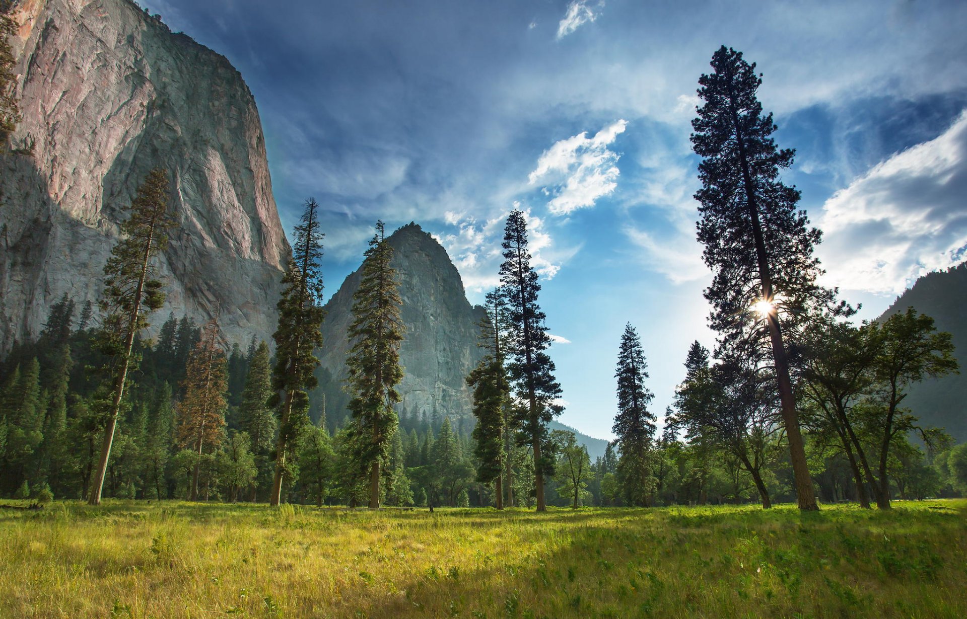 park narodowy yosemite natura góra las rośliny