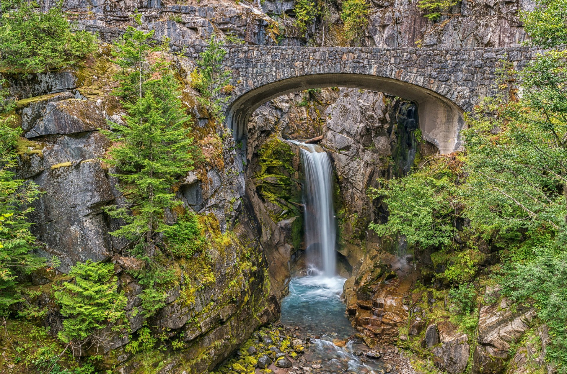 mount rainier national park washington united states mountain rock tree bridge feed river waterfall