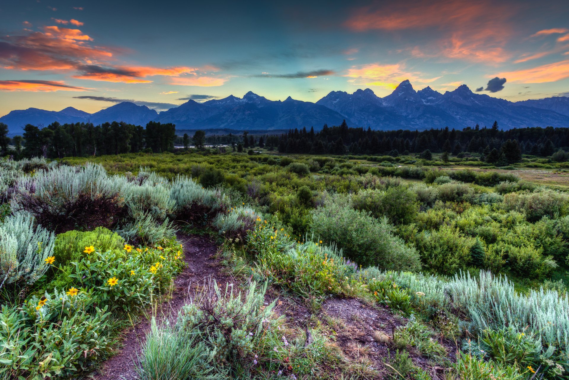 park narodowy grand teton jackson hole wyoming usa niebo góry chmury zachód słońca trawa kwiaty drzewa las