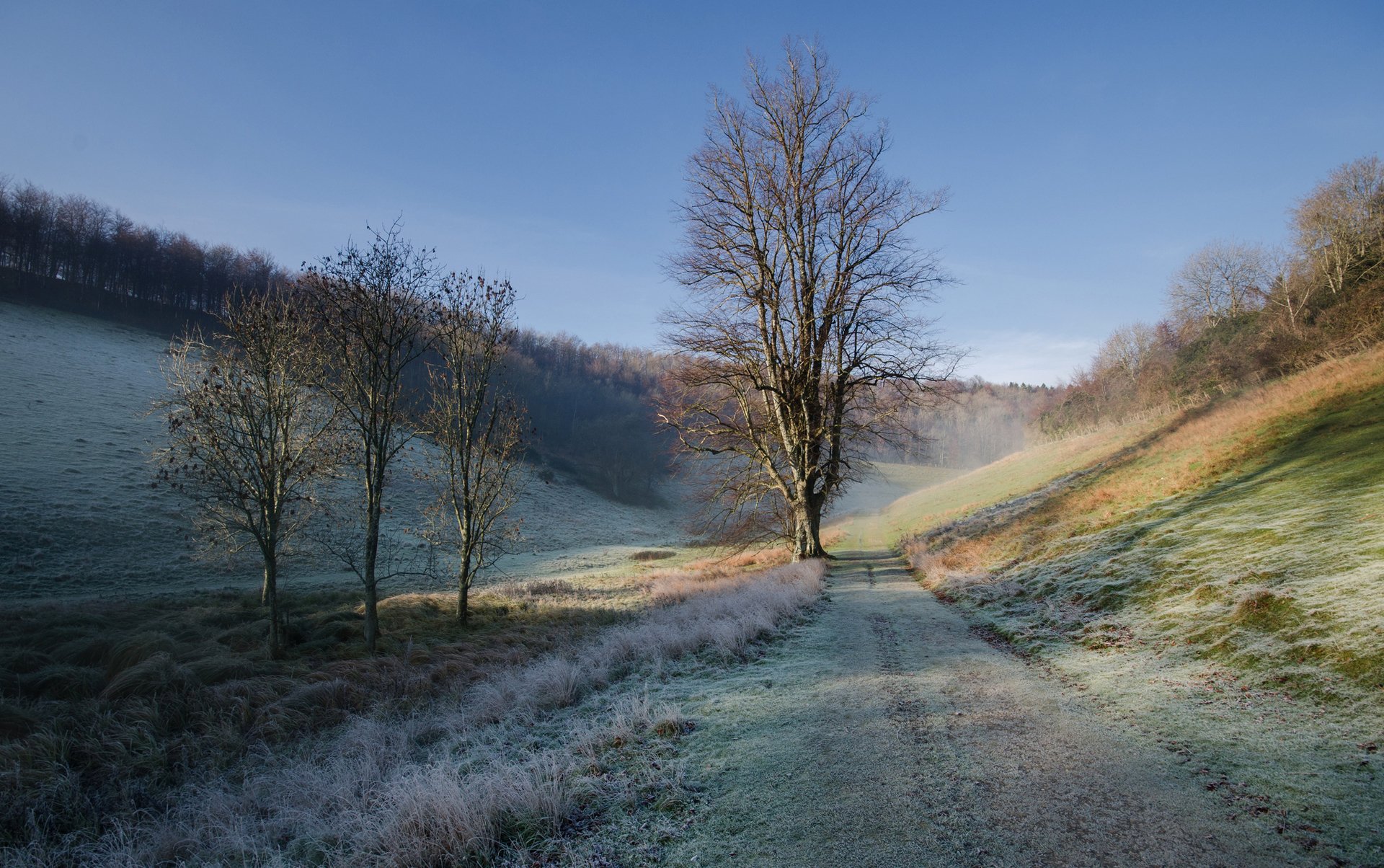 himmel hügel morgen straße gras frost herbst baum