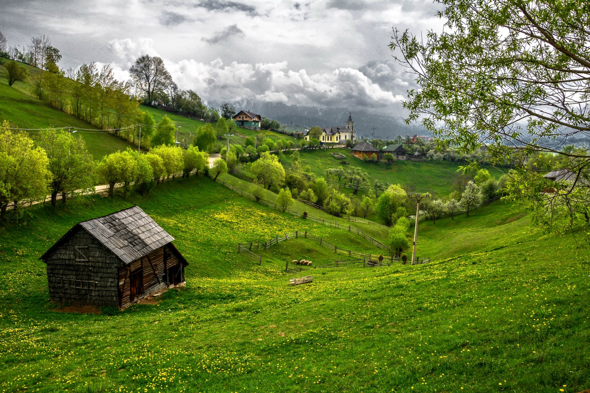 roumanie transylvanie herbe arbres verdure maisons