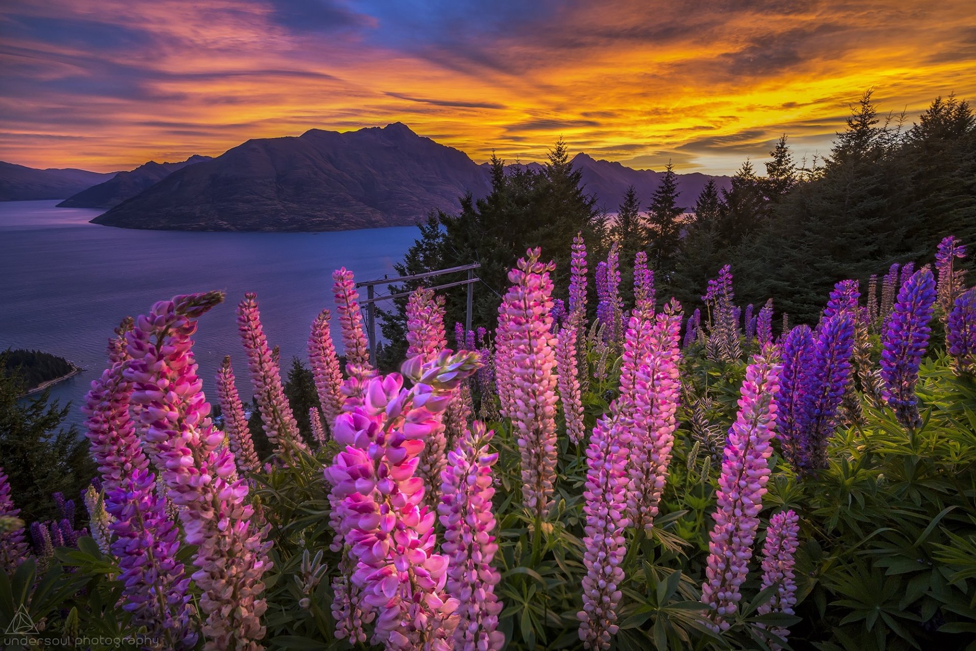 sonnenuntergang see berge panorama blumen