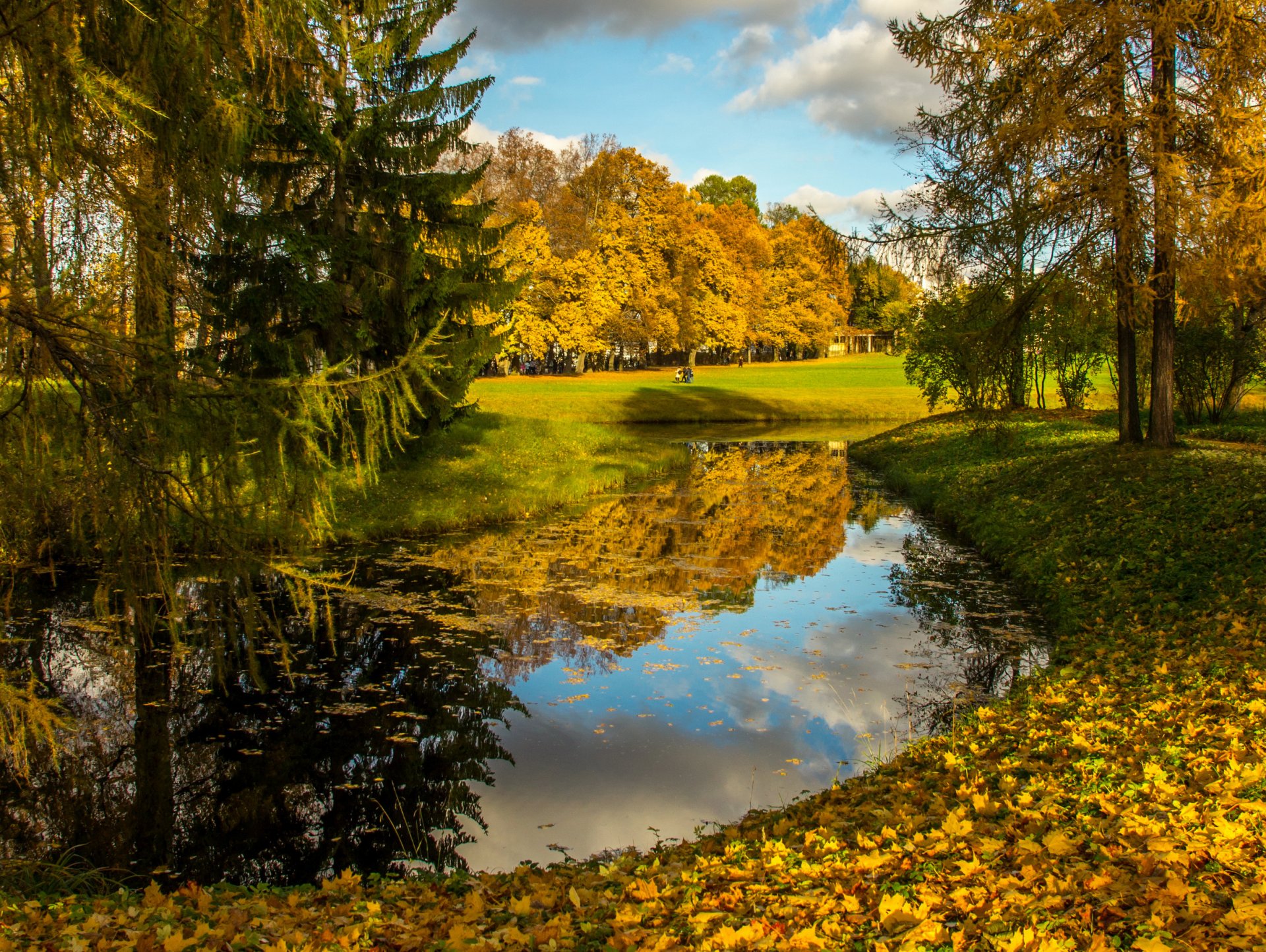 autunno fiume alberi foglie natura foto