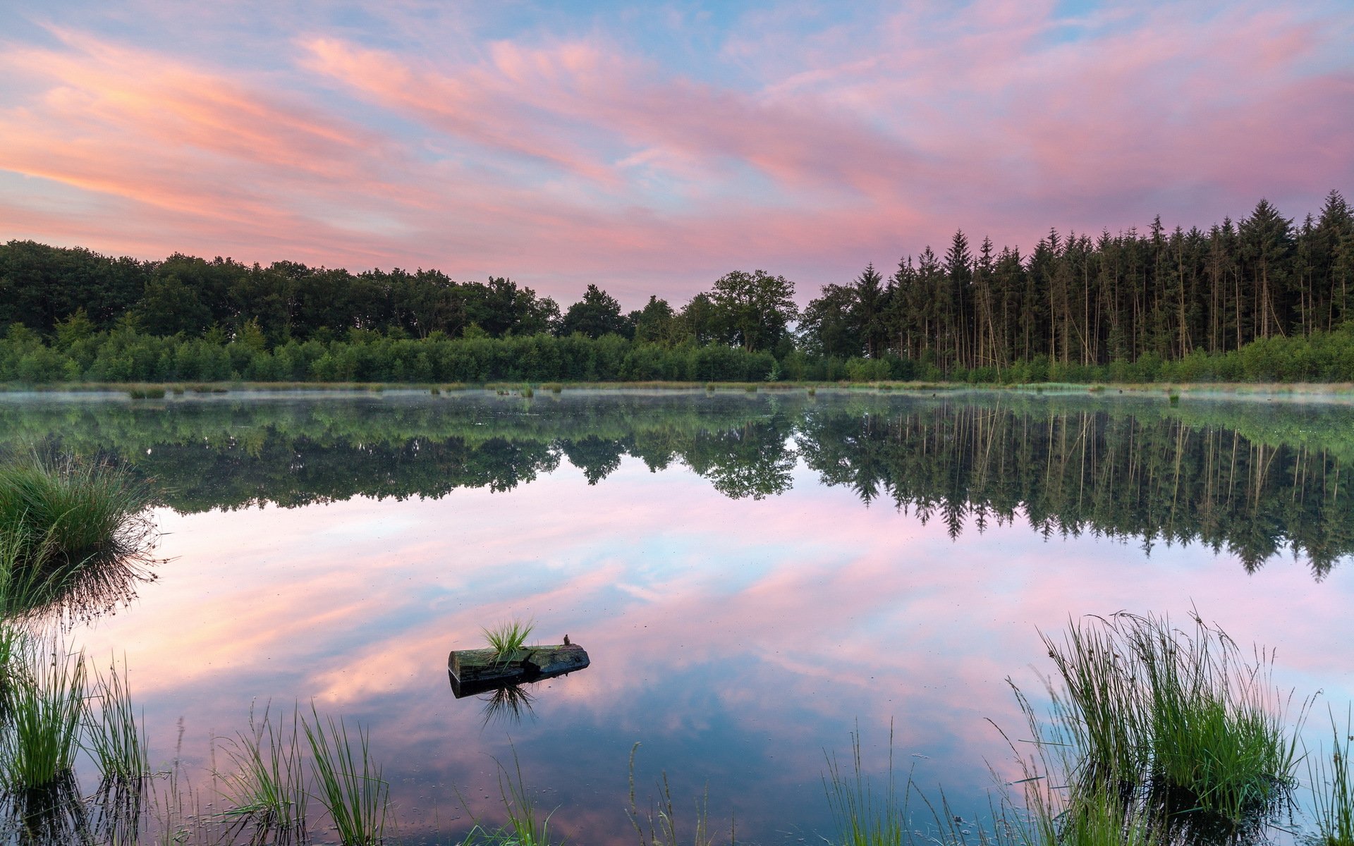 lac nature paysage