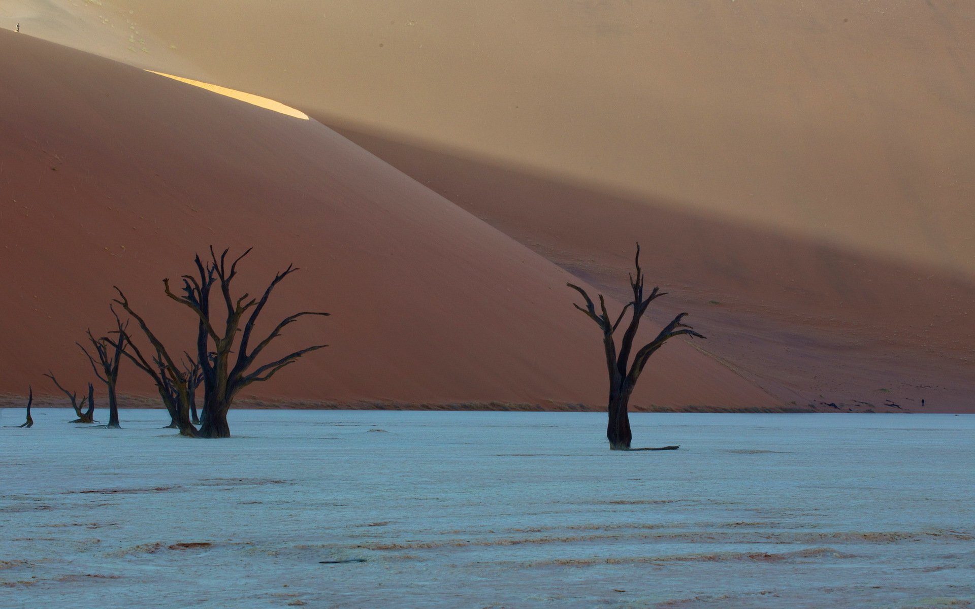 deadvlei africa desert dunes namibia