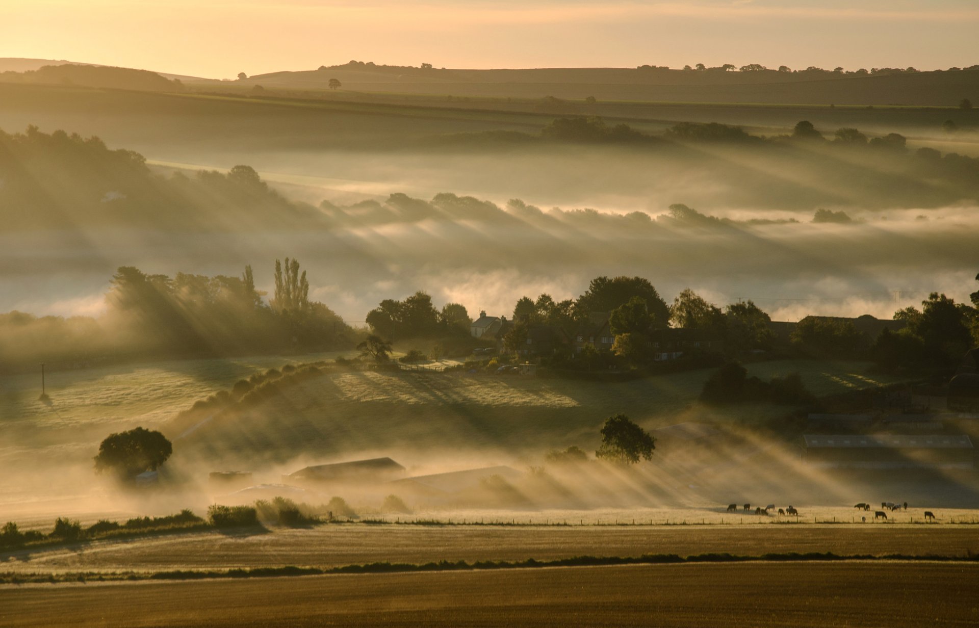 cielo mañana colinas niebla campo árboles