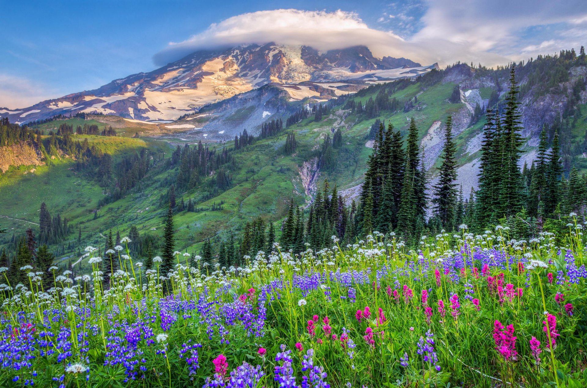 estados unidos montañas colinas árboles nubes claro flores naturaleza