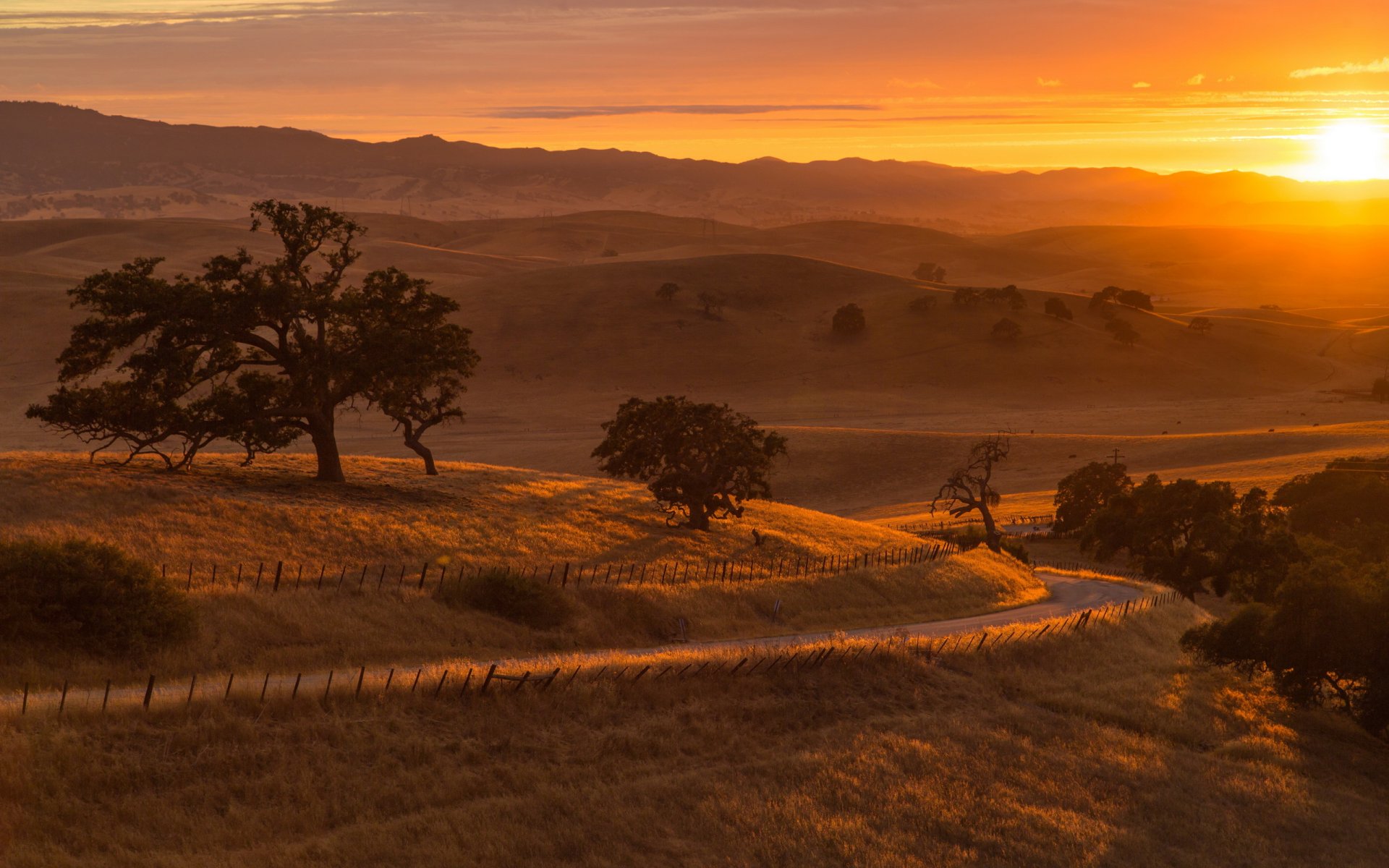 feld straße sonnenuntergang landschaft