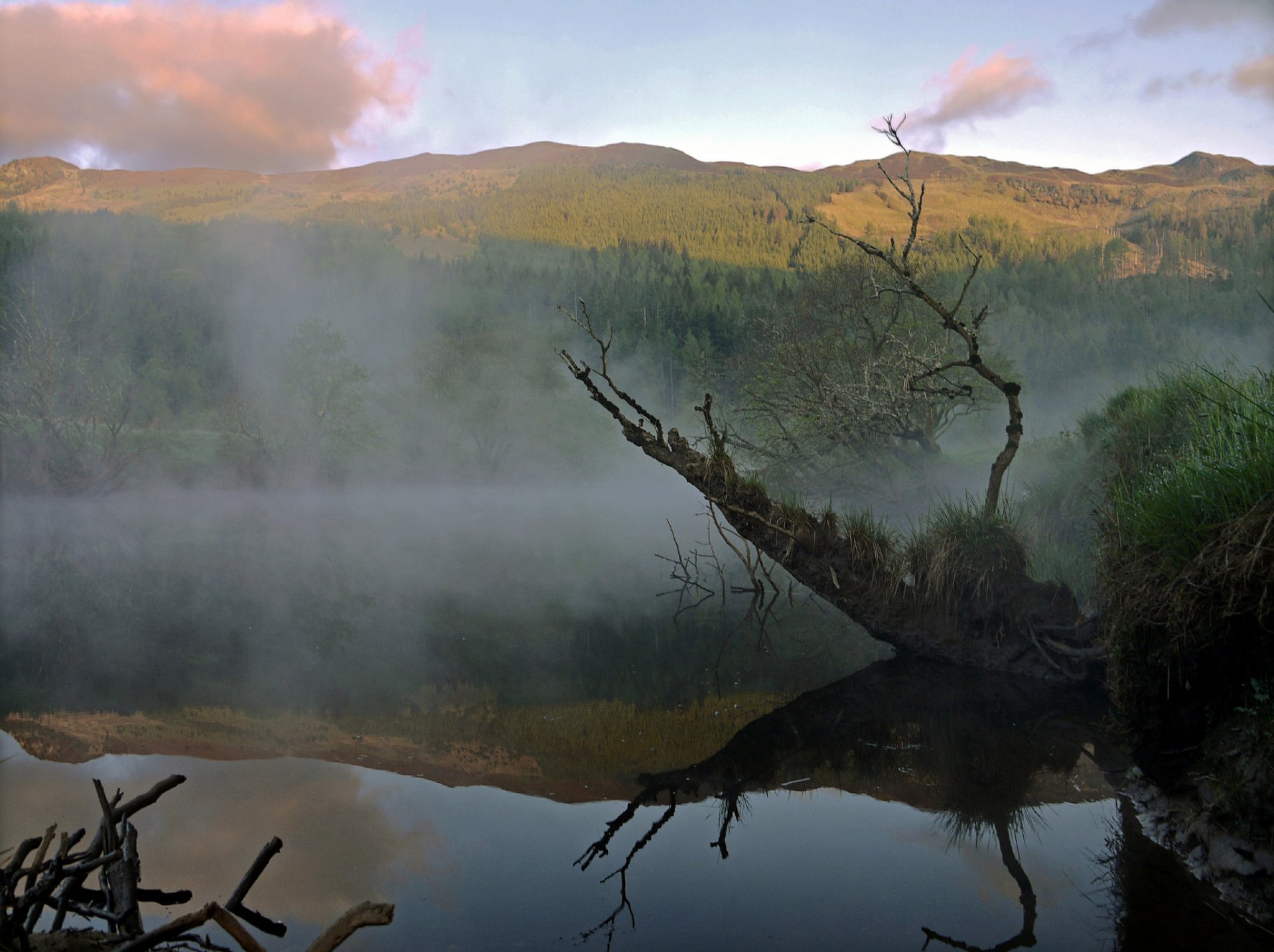 montagnes forêt lac brouillard