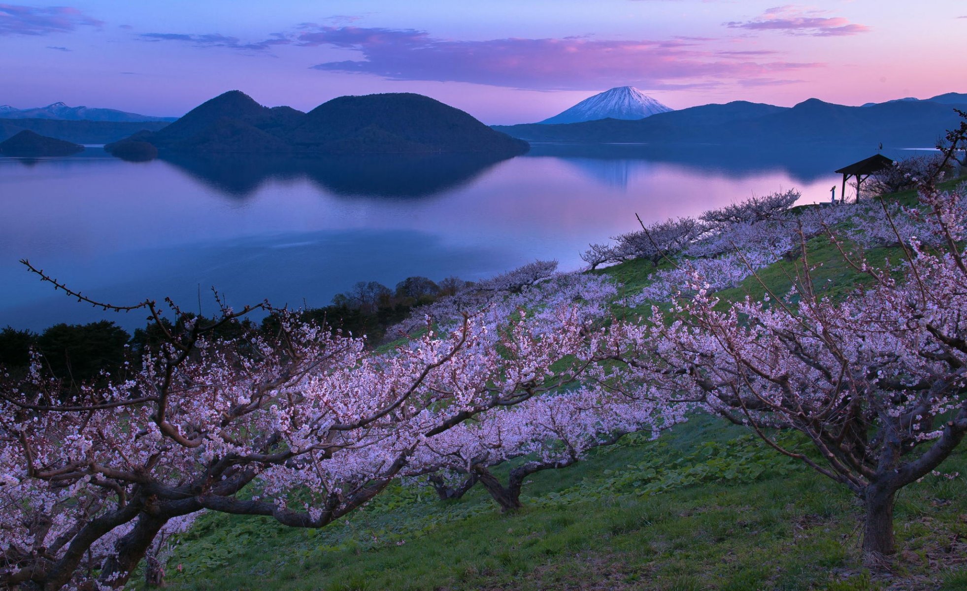 lago giardino vulcano sakura giappone