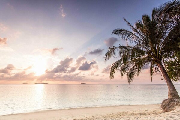 Beautiful sunrise in the tropics at sea