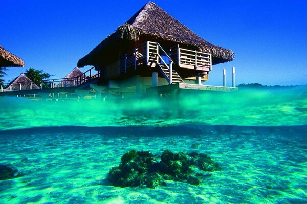 Bungalows on the ocean expanses of French Polynesia