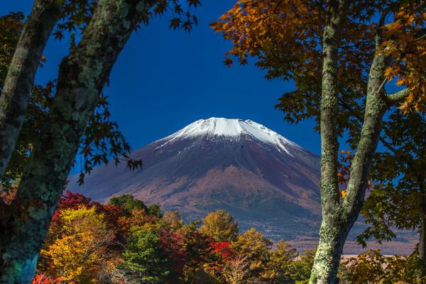 Autumn landscape on the background of the snow-capped peak of Fujiyama