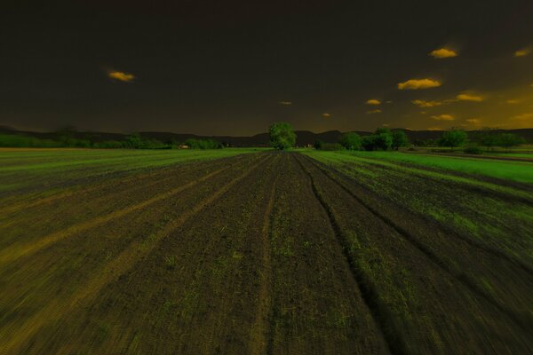 Green meadows in the night mist