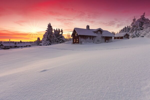 Snow-covered landscape against a pink sky