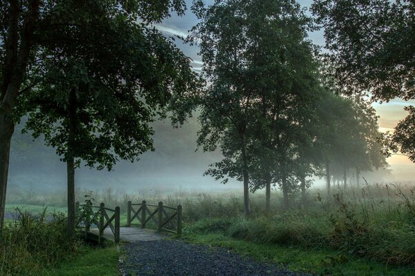 Foggy morning landscape with a bridge