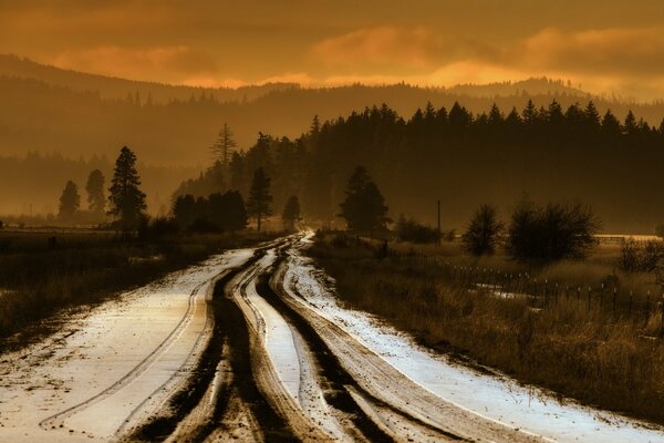 Night road. The first snow