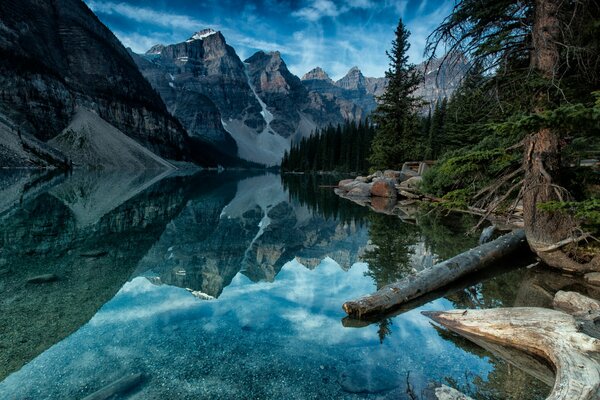 Kanadische Berglandschaft und Wald