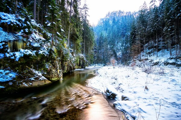 Un inverno molto bello