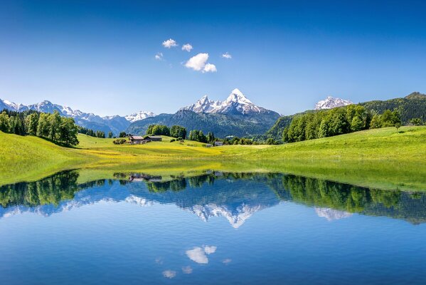 Paysage d été dans le reflet d un lac de montagne